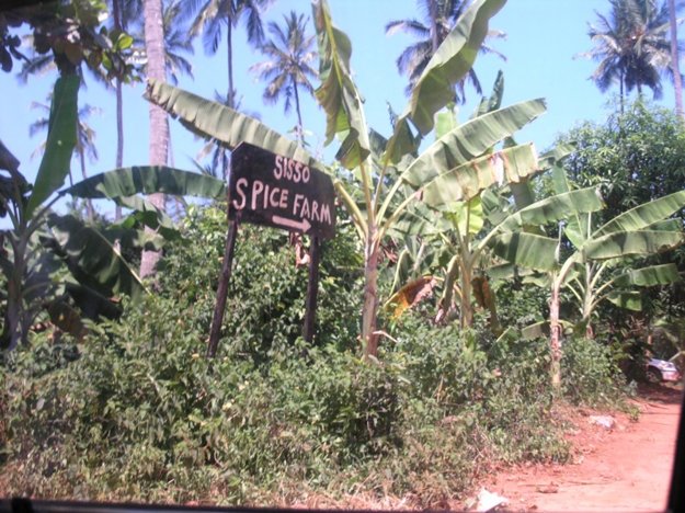 Návšteva farmy s korením je typická pre výlet na vidiek Zanzibaru.