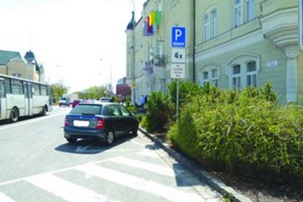 Levická samospráva má šesť služobných vozidiel, z toho jeden moped. Primátor používa Škodu Superb.