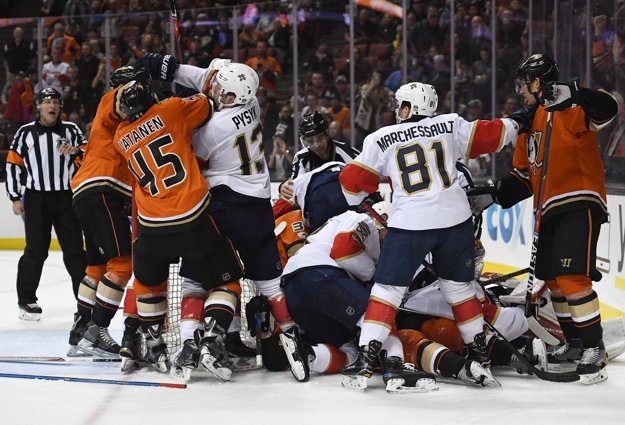Aj takto to vyzeralo počas zápasu Floridy Panthers na ľade Anaheimu Ducks.
