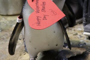Svätý Valentín považoval toto nariadenie za porušenie Božích 
zákonov a snúbencov tajne oddával.