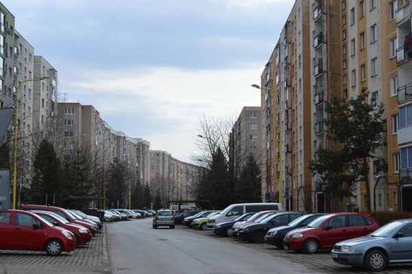 Černochov mačička obrázky