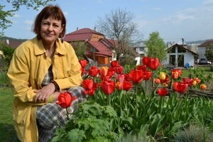 Eva Goľová vo svojom tulipánovom raji. 