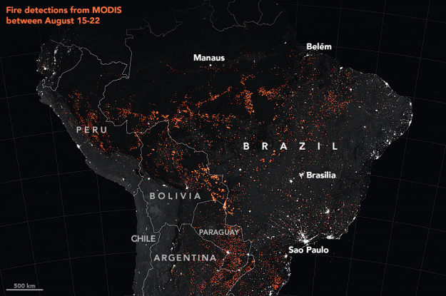 Tento rok je aktivita požiarov v brazílskej časti Amazonského pralesa najvyššia od roku 2010. Táto mapa ukazuje detekcie aktívnych požiarov v období od 15. do 22. augusta.