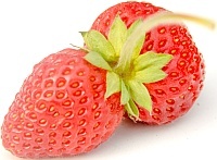 obr_03.jpg obr_03.jpg