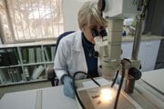 Výskumníčka ukazuje, ako prebiehala digitalizácia zvitkov. Takto pamiatkári digitalizovali asi päťtisíc fragmentov starovekých zvitkov, ktoré neskôr katalogizoval a preložil Google.