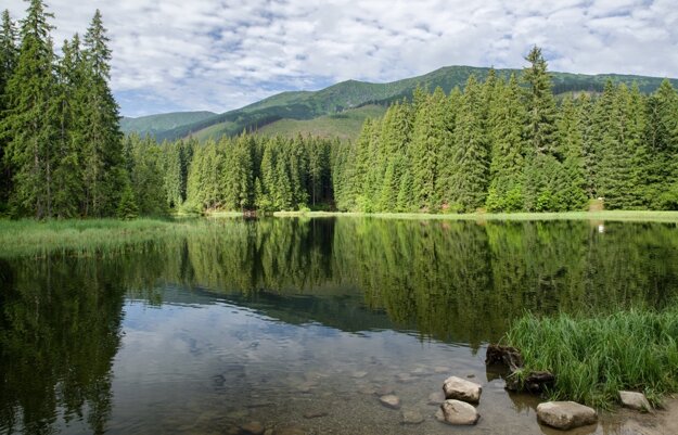 Vrbické pleso