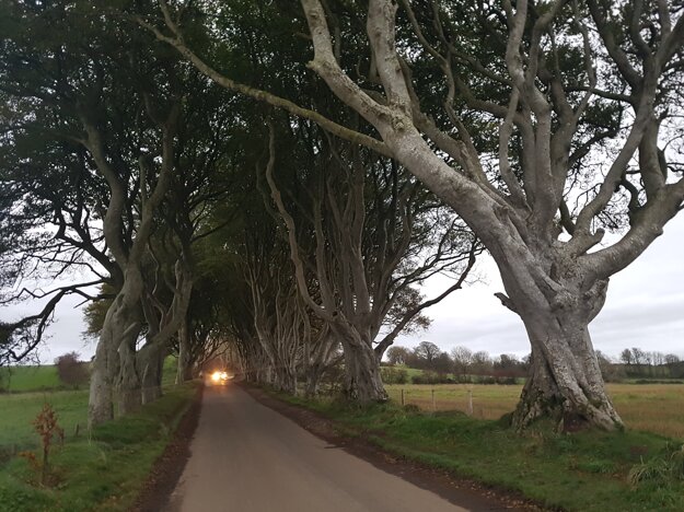 Známy chodník Dark Hedges zo seriálu Hra o tróny.