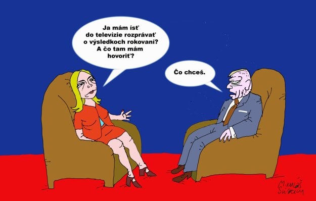 Inštrukcia (zdroj: Mikuláš Sliacky)