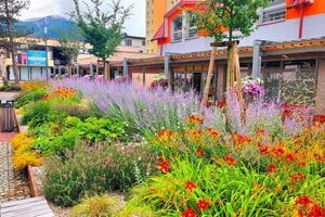 Zakvitnuté centrum Vrútok.