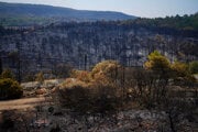 Spálené stromy počas najväčšieho lesného požiaru vo Francúzsku za posledné desaťročia vo Fontjoncouse v južnom Francúzsku.