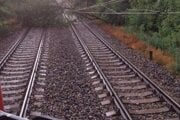 Spadnutý strom na trati medzi Mužlou a Gbelcami.