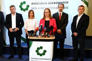 Zľava prezident evanjelických škôl Marián Damankoš, zástupca Únie súkromných jaslí a škôlok Lucia Brandstetter, prezidentka ASŠŠZ Eva Ohraďanová, Asociácie za život a rodinu Tomáš Kováčik a analytik inštitútu INES Robert Chovanec.