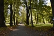 Mestský park v Banskej Bystrici.