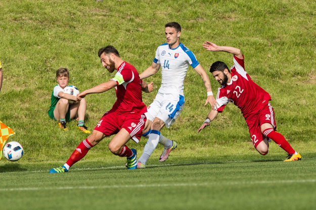 Erik Sabo (s číslom 14) je členom širšieho kádra slovenskej reprezentácie.