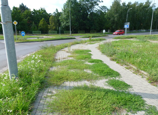 Zarastený chodník.
