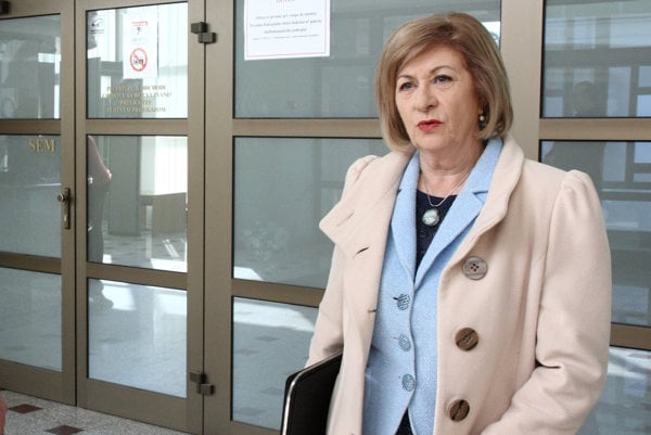 Eva Mišíková je bývalá dlhoročná prokurátorka Generálnej prokuratúry, ktorá sa venovala mafiánskym prípadom. V súčasnosti pracuje ako advokátka.