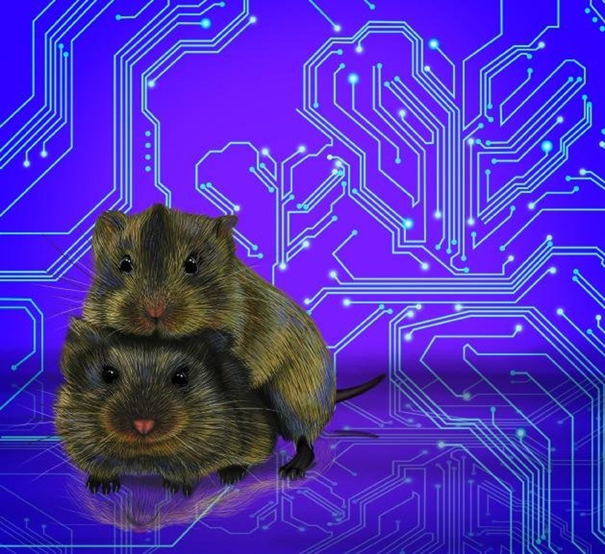 Nové Mexiko Zoznamovacie službyOnline Zoznamka štúdie