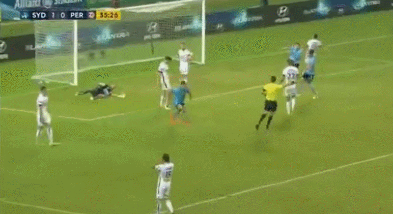 holosko2.gif holosko2.gif
