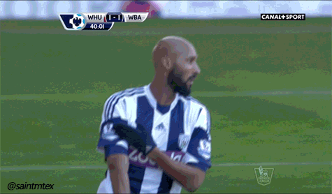 anelka.gif