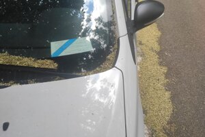 Na výnimky sa parkuje aj pri Dvoch levoch.