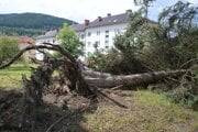 Vyvrátený strom v Gelnici po veternej smršti 11. júla. 