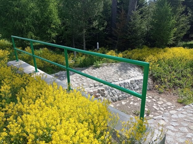 Barborka obyčajná je pre Tatry nebezpečnou invazívnou rastlinou. (zdroj: Ilustračné foto: TANAP)