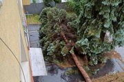 Takto smršť vyčíňala na Ulici 17. novembra v Prešove.