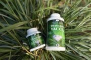 Diamond Yacca Doktor Sova