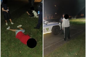 Maloletí boli pod vplyvom alkoholu.