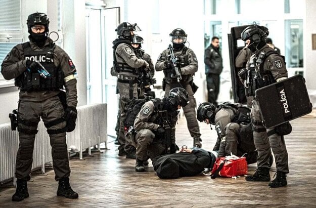 Ilustračné foto. (zdroj: archív PZ SR)