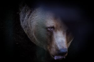 Ilustračná fotografia.