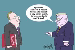 Konsolidácia