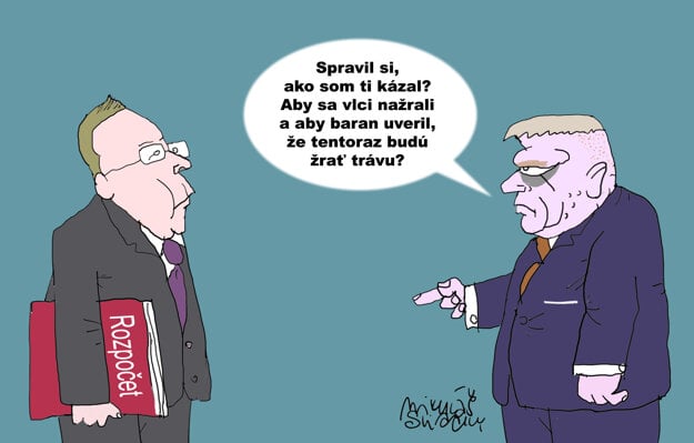 Konsolidácia (zdroj: Mikuláš Sliacky)