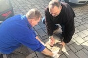 Ladislav Oravec, známy hľadač pokladov z Fiľakova (vľavo) s regionálnym archeológom z Gemersko - malohontského múzea Alexandrom Botošom (vľavo) s výnimočným nálezom.