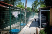Útulok vo Veľkom Mederi, v ktorom skončilo tridsať psov zaistených počas akcie Dráp.