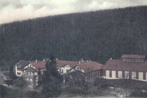 Lesy nad košickým Bankovom.