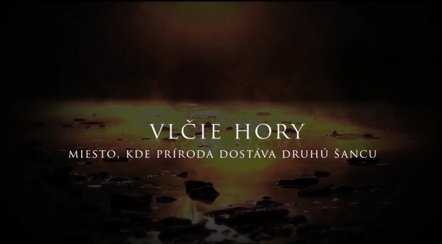  (zdroj: reprofoto Youtube)