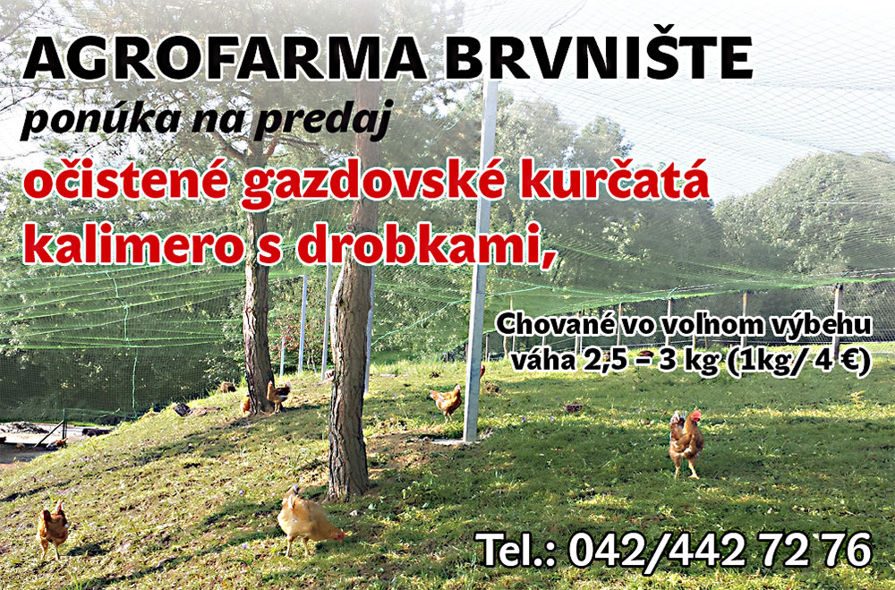 article_photo