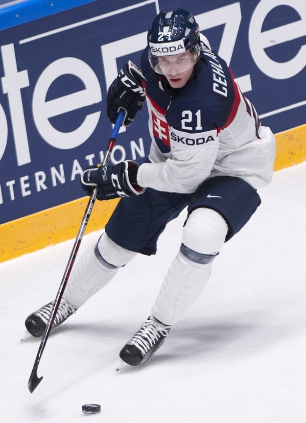 Peter Cehlárik v drese slovenskej reprezentácie.