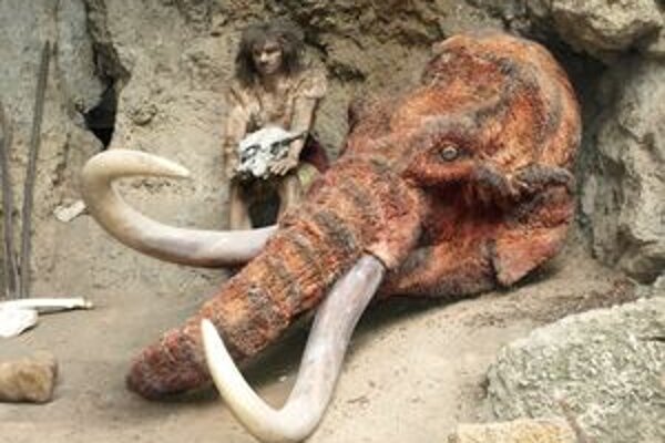 Múzeum praveku vsadilo na expozíciu o živote neandertálca.