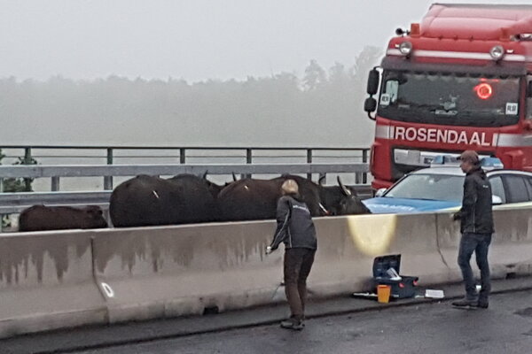 Byvoly na nemeckej diaľnici.