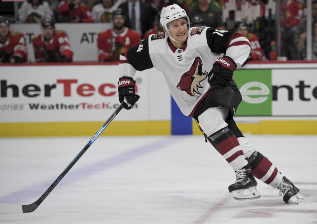Richard Pánik v drese Arizona Coyotes.