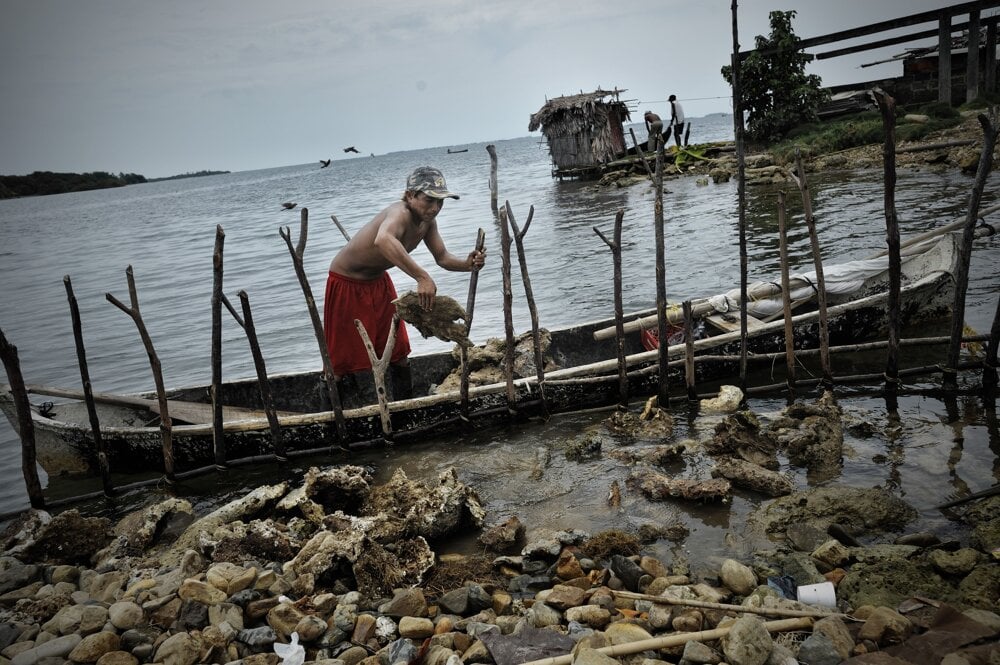 Panama. Pracovník na ostrove Rio Azucar ukladá mŕtve koraly, aby tak ochránil ostrov. Kuna Yala (San Blas) pozostáva z dlhého úzkeho pásu zeme a súostrovia s 365 ostrovmi, z ktorých je 36 obývaných. Pre stúpanie morskej hladiny treba obyvateľov Kuny evakuovať na pevninu, keďže ostrovy začínajú byť pre život príliš nebezpečné. V auguste 2012 mali byť evakuované prvé štyri ostrovy. Ide o územie domorodého obyvateľstva Kunov, ktorí si autonómiu vybojovali v r. 1925. 