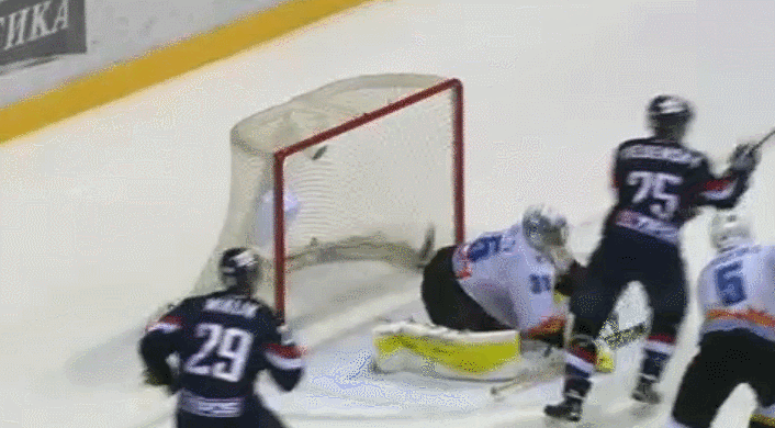 visna.gif visna.gif