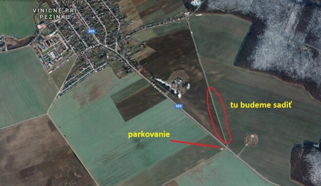 Mapka, kde sa budú sadiť stromy.