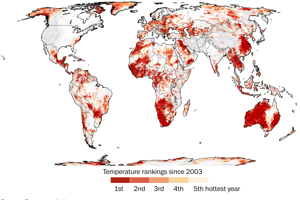 Miesta, kde bol rok 2019 jedným z piatich najteplejších od roku 2003.