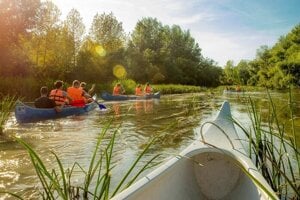 Dunajské ramená pri Dobrohošti