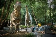 DinoPark 