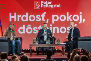 Hlas poslal podozrivo veľa peňazí spriaznenej agentúre. Pellegriniho kampaň zachránila jeho sestra