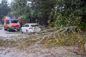 Spadnutý strom na ulici Hany Meličkovej v Bratislave.